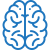 cerebro